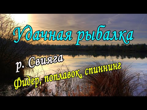 Видео: Удачная рыбалка на реке Свияга
