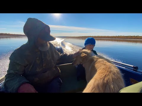 Видео: По избушкам да по гостям Отшельники (30 лет одиночества 96 серия)