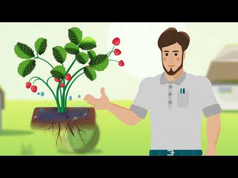 Видео: Фертигация - удобрения УралХим