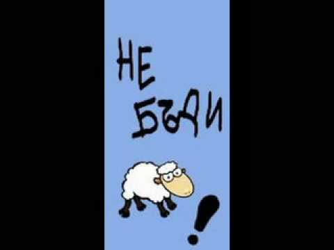 Видео: ТЪПА ОВЦА-РУСЛАН МЪЙНОВ