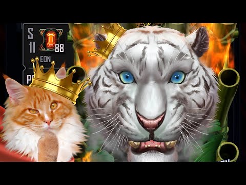 Видео: Ограниченный тираж, Великий Кали! СКОЛЬКО РЕДКИХ ПИКОВ Я ИСПОЛЬЗОВАЛ? #wwesupercard #wwe WWE Supe...