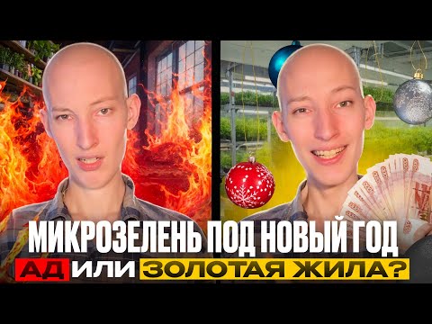 Видео: 📈Сколько можно заработать на микрозелени перед Новым годом?