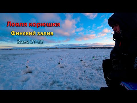 Видео: Ловля корюшки I Финский залив I Южная Дамба I Зима 2022 ( ice fishing for smelt Gulf of Finland )