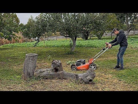 Видео: OLEO-MAC БГК. Вторник, 7 октября 2025 г. в 12:13 ПОКОС ПОЛЯНЫ.