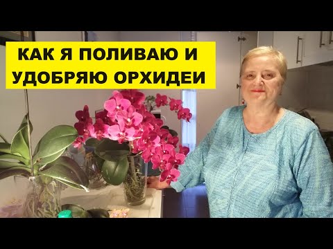Видео: КАК Я ПОЛИВАЮ И УДОБРЯЮ ОРХИДЕИ..УТРОМ ПЕРЕД ЗАВТРАКОМ