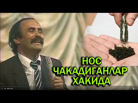 Видео: Хожибой Тожибоев нос чакадиганлар хакида  #Hojiboy_Tojiboyev nos chakadiganlarga