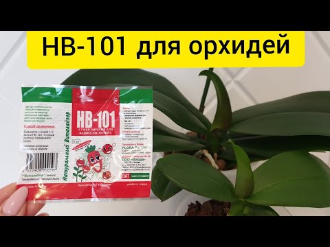 Видео: НВ-101 для орхидей || Стимулирующий раствор для деток орхидей, реанимашек и пересаженных  орхидей