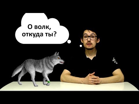 Видео: Откуда пришли ВОЛКИ?