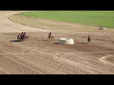 Видео: Талас Көк Жал Кубок Президента К  2016 Кок бору