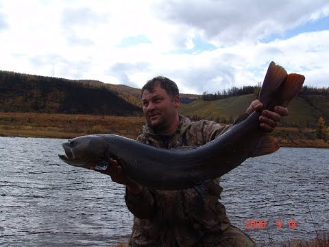 Видео: Как Лефуки рафты на коней поменяли