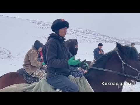 Видео: Сарсенбі көкпар Мейрамбек ініміздің.Көкпар әлемі.