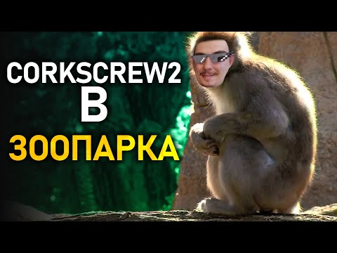 Видео: 🐒  @corkscrew2 в Зоопарка с @ellybels и @ZenReMasTa