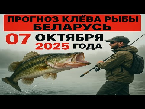 Видео: ПРОГНОЗ КЛЁВА в Беларуси на 07 октября 2025 года. Бросай все и на рыбалку!