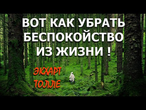 Видео: ВОТ КАК УБРАТЬ БЕСПОКОЙСТВО! [Э. ТОЛЛЕ(ЛЕКЦИИ), озв. НикОшо]
