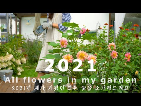 Видео: Конец 2021 года! Я покажу вам все цветы в моем маленьком саду 🌿