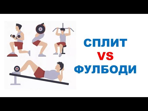 Видео: СПЛИТ vs ФУЛБОДИ: на мышечную массу и силу | Обзор исследования