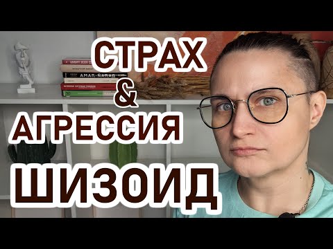 Видео: ШИЗОИД: страх и агрессия. Детство шизоида, как шизоид переживает страх перед близостью