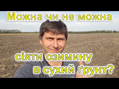 Видео: Можна чи не можна сіяти озимину в сухий грунт