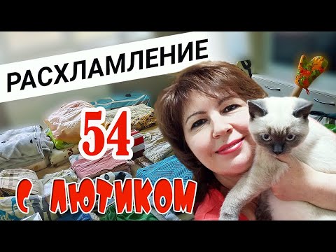 Видео: РАСХЛАМЛЕНИЕ ПЕРЕД РЕМОНТОМ. ВЛОГ.