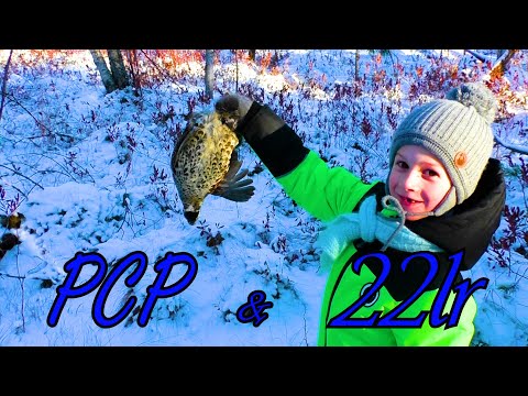 Видео: 22lr / PCP / ОХОТА на РЯБЧИКА С ВНУКОМ