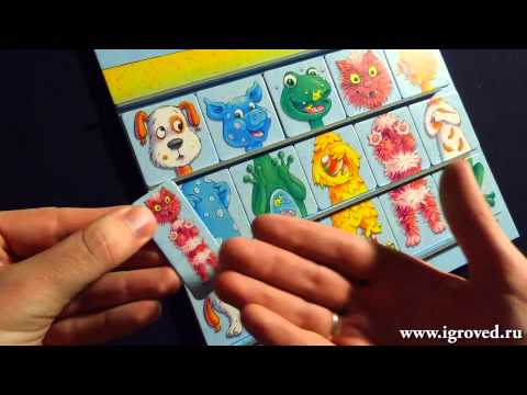 Видео: Большая Путаница. Обзор настольной игры от Игроведа