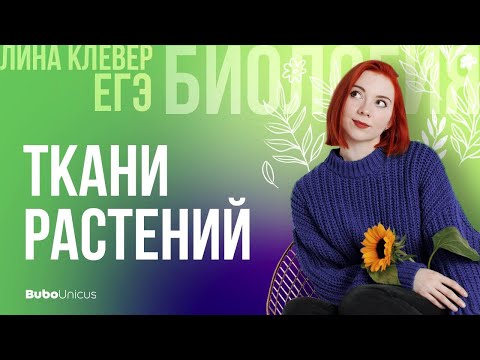 Видео: Ткани растений | БИОЛОГИЯ ЕГЭ | Лина Клевер