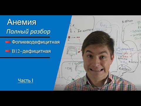 Видео: Макроцитарные (B12-дефицитная и фолиеводефицитная) анемии. Часть I