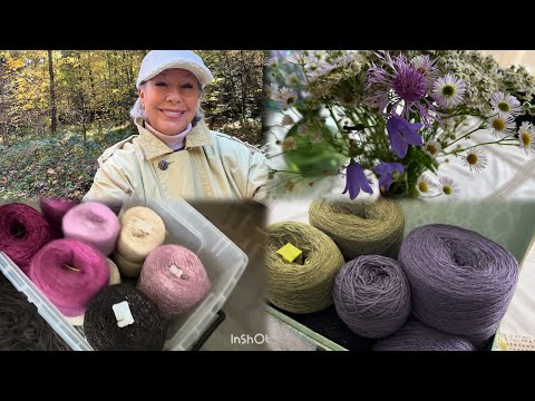 Видео: 15 октября 2025 г.Моя новая пряжа 🧶🤦🏼Мой вязальный день с питомцами 🦮🐕‍🦺