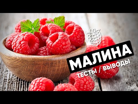 Видео: Тест на малину!