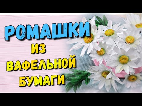 Видео: Ромашки из вафельной бумаги / Сhamomile waffle paper