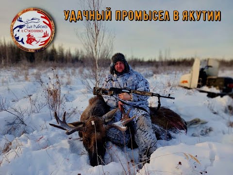 Видео: Промысловая охота в Якутии. Добыли сохатого. Рыбачим в далёких краях. Часть 3.