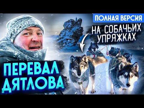 Видео: Перевал Дятлова на собачьих упряжках \ Северный Урал \ Манси \  Собаки хаски \ Полная версия