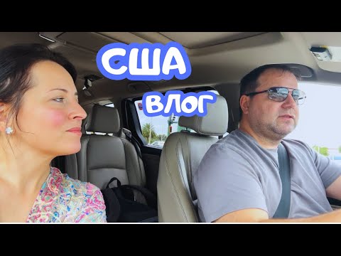 Видео: США КАК мы ЖИВЁМ с АЛЛИГАТОРАМИ / СТРОЙКА ПРОДОЛЖАЕТСЯ