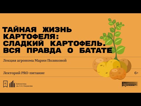 Видео: «Сладкий картофель. Вся правда о батате». Лекция агронома-картофелевода Марии Поляковой