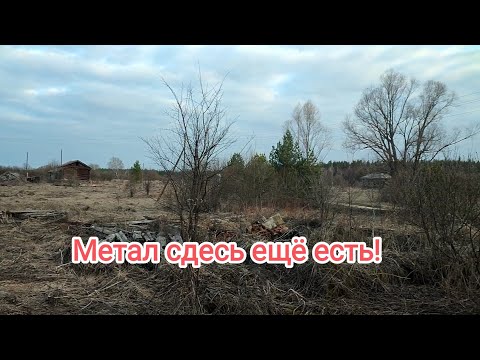 Видео: Я сюда вернусь! Металла сдесь ещё много.Сдача накопаного! Цены на приемке!