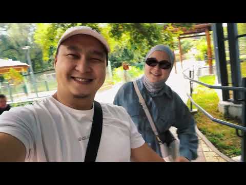 Видео: Балалармен бірге зоопаркке саяхат 🐒🦁 | Көңілді күн!