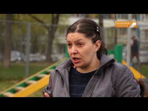 Видео: Собаки Гладиаторы Американский стаффордширский терьер