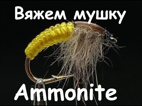 Видео: Ammonite. Cadiss Pupa - Нимфа Амонит/Простая имитация Пупы ручейника