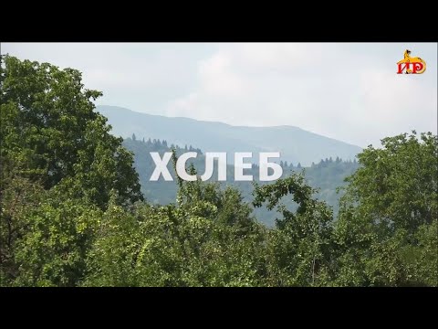 Видео: «Хъæуæй хъæумæ». (Хслеб). Бестауты Валентинайы алӕвӕрд. 06.10.2025.