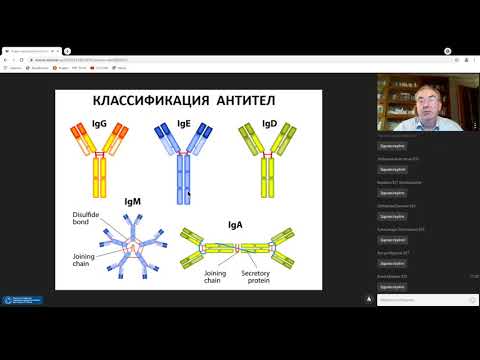 Видео: Терапевтические моноклональные АТ