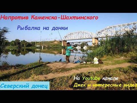 Видео: Рыбалка на донки напротив Каменска-Шахтинского