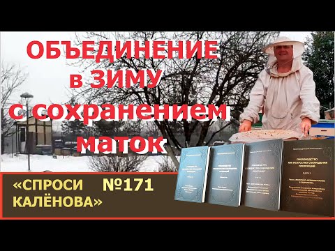 Видео: Объединение  Семей при Минусовой Температуре. Сохранение малых Семей и Маток в Зиму. "Пчеловодство+"