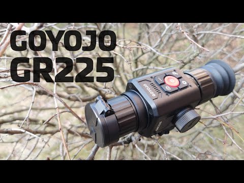 Видео: Дешевый тепловизор с маркетплейса - обзор прицела GOYOJO GR225