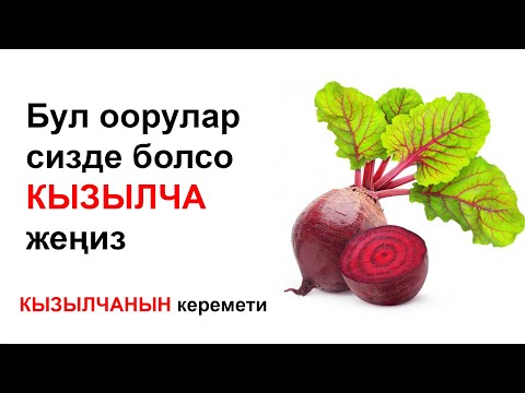 Видео: Кызылча бул оорулардан арылтат. Оранизмге укмуштуудай пайдасы