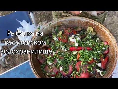 Видео: РЫБАЛКА с ЛОДКИ на поплавочную УДОЧКУ. ТУШЕНАЯ ГОВЯДИНА от ШЕФА.