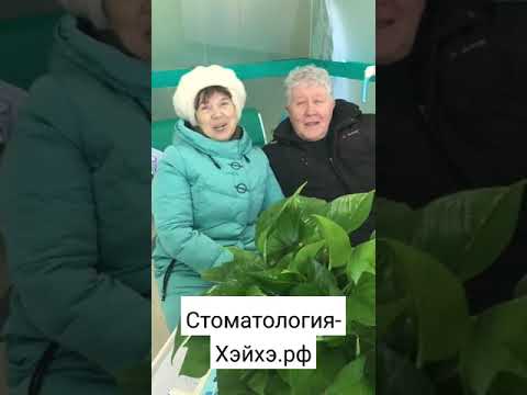 Видео: Из Хабаровска в Благовещенск и Хэйхэ за зубами. Стоматология в Хэйхэ #протезирование  #стоматология