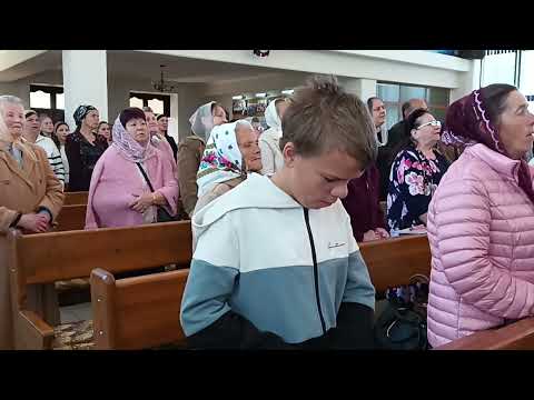 Видео: 27 апреля 2025 г.