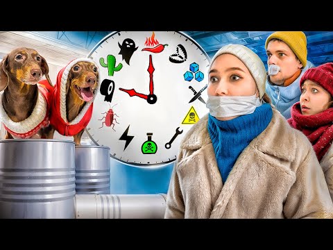 Видео: КАЖДЫЙ ЧАС - НОВЫЙ ЧЕЛЛЕНДЖ ОТ ЧАПИТОСИКОВ 😱😱😱