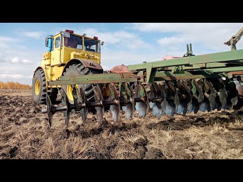 Видео: Трактор К-701. Разработка целины с БДТ - 7А