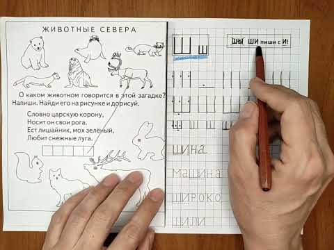 Видео: Занятие 26 для детей 4-5 лет. Состав числа 6, буква Ш.